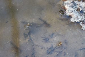 IMG_3190